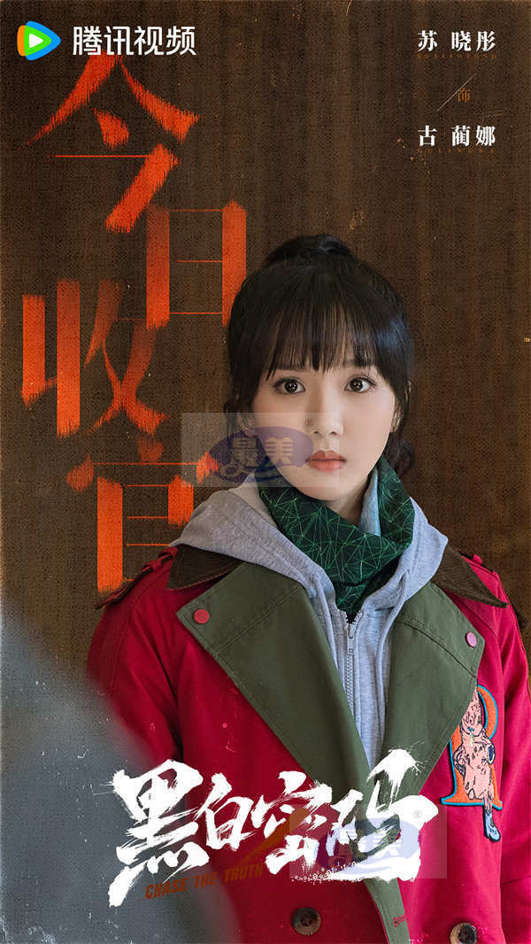 《黑白密码》热血收官!王子奇田雨苏晓彤携手破局铸正义之魂