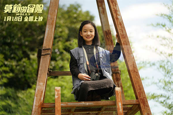 电影《莫莉的冒险》寒假1月18日上映 社恐女孩与机器人一起成长冒险