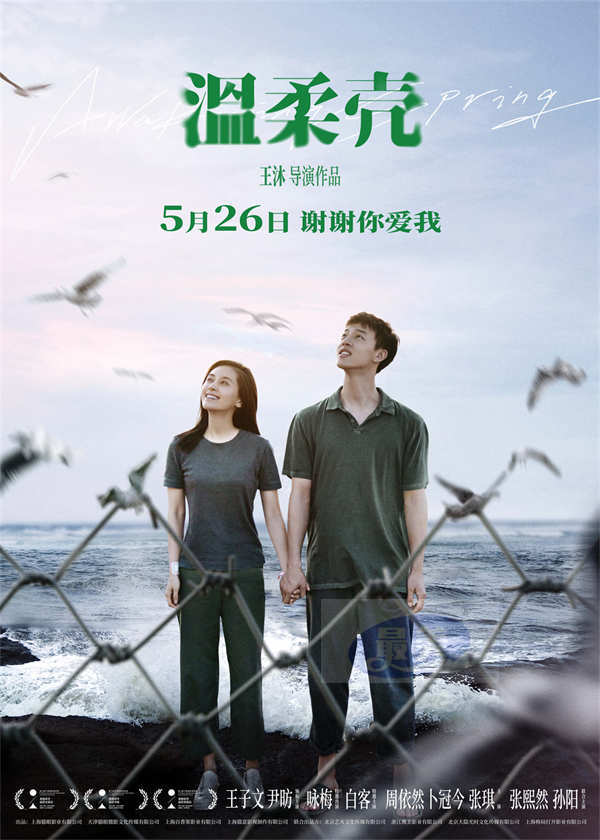 电影《温柔壳》曝“世界尽头的爱”终极海报 王子文尹昉执手同心守望幸福