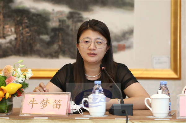 《少年派2》研讨会召开 “两个结合”的审美创作品格获首肯