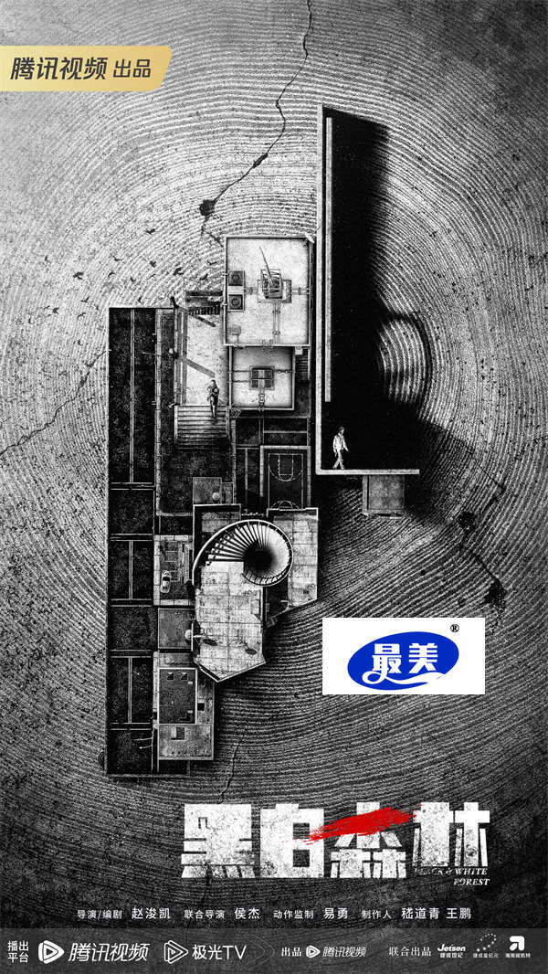 悬疑刑侦剧《黑白森林》官宣，丁禹兮宁理联手破获经年迷案