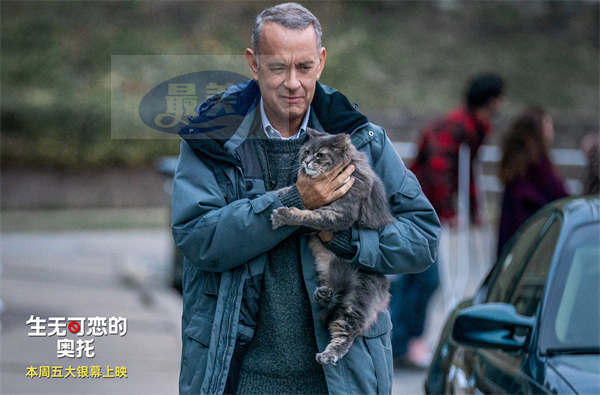 《生无可恋的奥托》预售开启 观影场口碑领跑 催泪治愈戳中人心