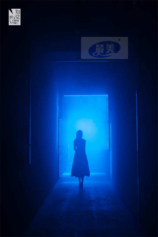 化身时空旅人 进入《知觉的世界》