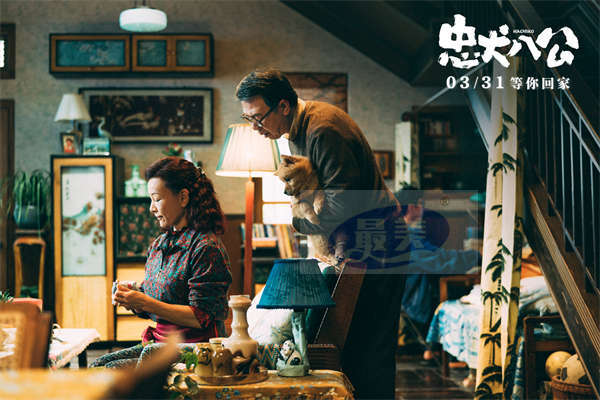 电影《忠犬八公》全新预告开启预售 “不舍离别”直指国人陪伴痛点