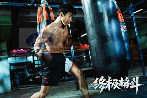 电影《终极格斗》平遥影展首曝阵容 吴晓亮柳岩领衔冲击拳台极限