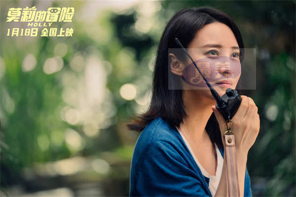 电影《莫莉的冒险》寒假1月18日上映 社恐女孩与机器人一起成长冒险