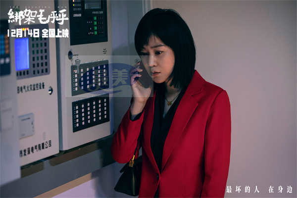 电影《绑架毛乎乎》定档12月14日 一场荒诞离奇的保姆绑架案即将上演