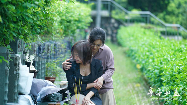 《亭亭如盖》定档4月15日 稀缺故事题材展现女性多重困境