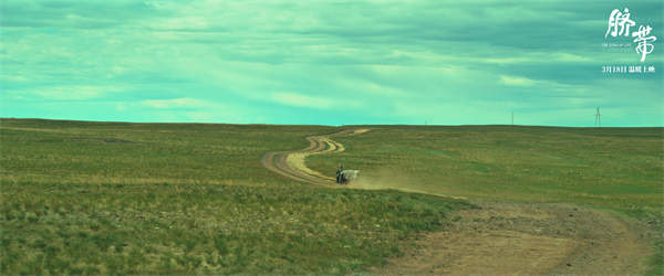 曹郁姚晨监制电影《脐带》曝“爱有回响”片段 母子漫游草原暖心治愈