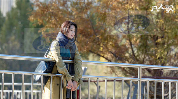 殷桃新剧《凡人歌》霸榜收视 叙写普通人的生活乐章