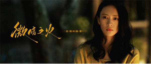 情感悬疑剧《微暗之火》定档4月27日，童瑶张新成上演情感救赎