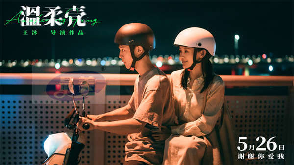电影《温柔壳》预售开启 王子文尹昉冲破现实为爱坚守