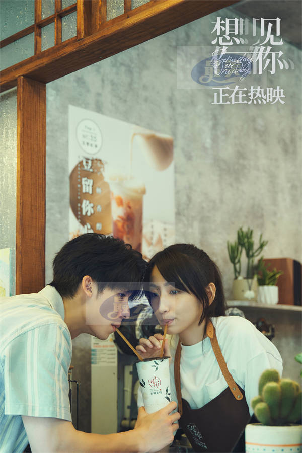 年度高分爱情电影《想见你》票房破2.6亿  新年必看全糖开场