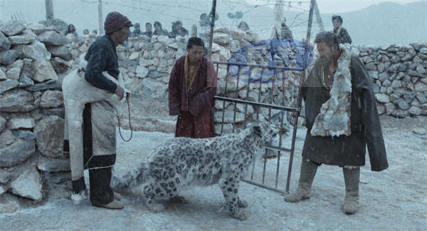 万玛才旦遗作《雪豹》获东京国际电影节大奖 独特人文气质获盛赞