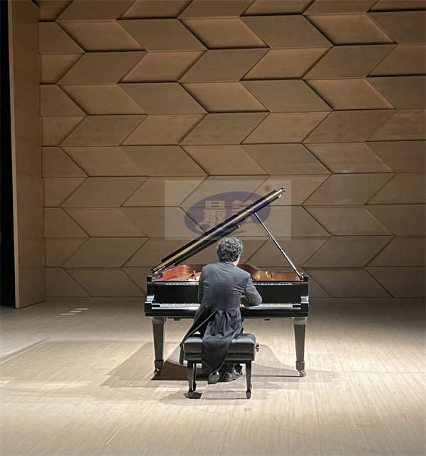 李云迪携“莫扎特奏鸣曲计划”登临日本，开启全新音乐旅程