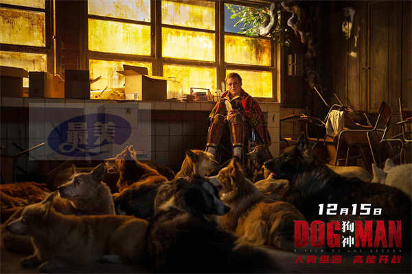 豆瓣8.1吕克·贝松犯罪新作重返巅峰 《狗神》定档12月15日