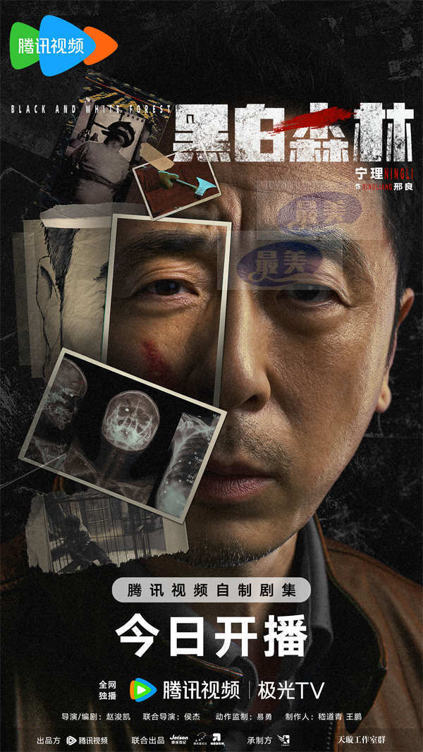 《黑白森林》今日开播,丁禹兮宁理深入人性丛林解谜寻真