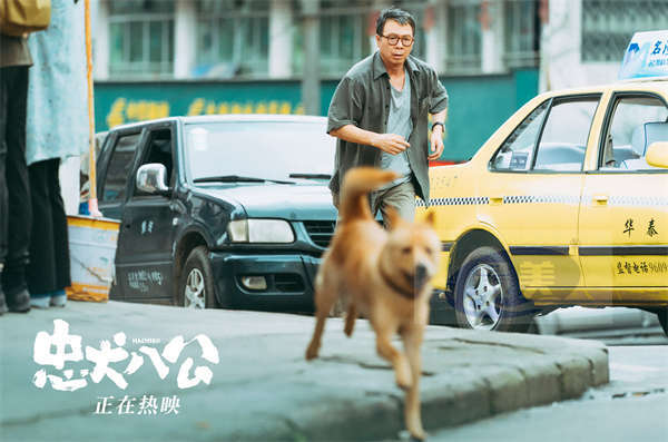 中国版《忠犬八公》全新片段曝光 “父子送别”呈现中国式深沉爱意
