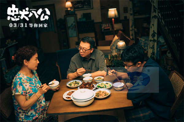 电影《忠犬八公》全新预告开启预售 “不舍离别”直指国人陪伴痛点