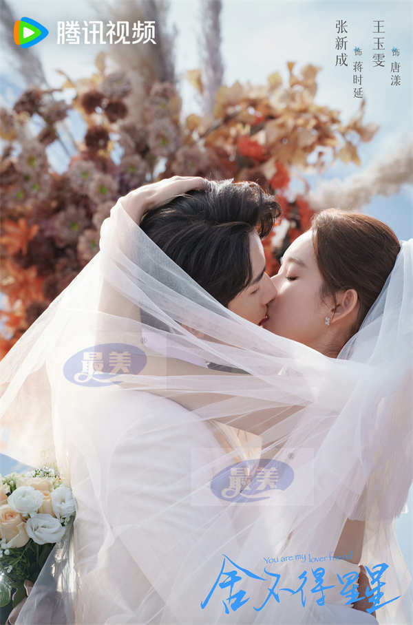 《舍不得星星》收官 张新成王玉雯“进阶恋爱”喜迎全糖结局