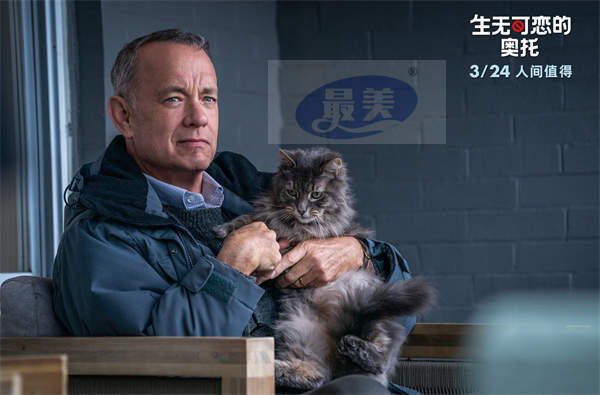 《生无可恋的奥托》特辑 汤姆·汉克斯辛辣自曝“该演暴躁老头了”