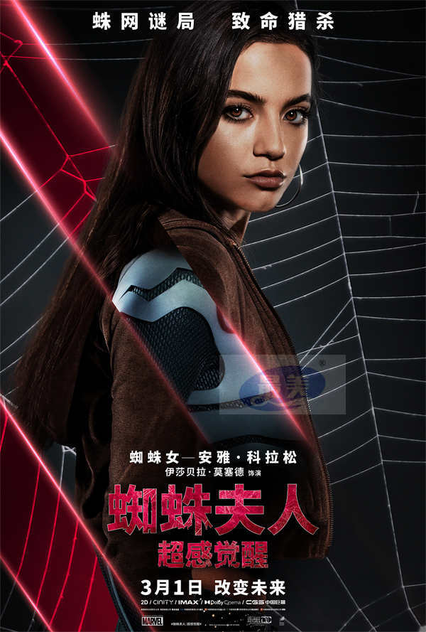 《蜘蛛夫人：超感觉醒》全国预售开启 蜘蛛夫人预知未来逆转死亡