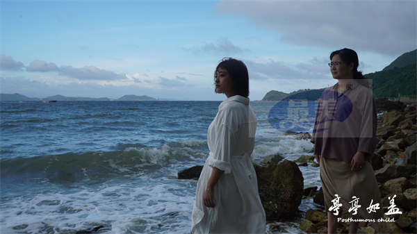 《亭亭如盖》定档4月15日 稀缺故事题材展现女性多重困境