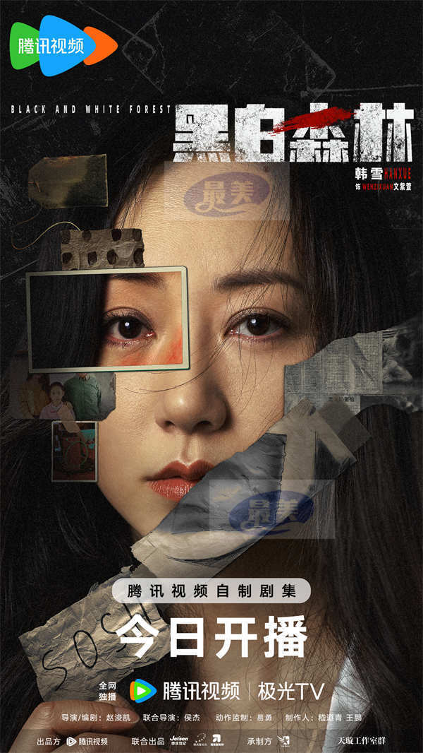 《黑白森林》今日开播,丁禹兮宁理深入人性丛林解谜寻真