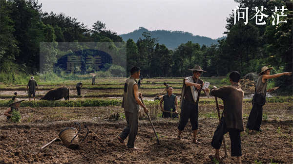 重大革命题材剧《问苍茫》圆满杀青 官宣全阵容并发布杀青特辑