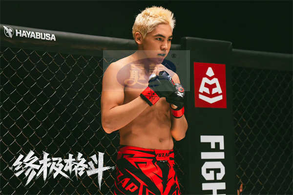 电影《终极格斗》平遥影展首曝阵容 吴晓亮柳岩领衔冲击拳台极限