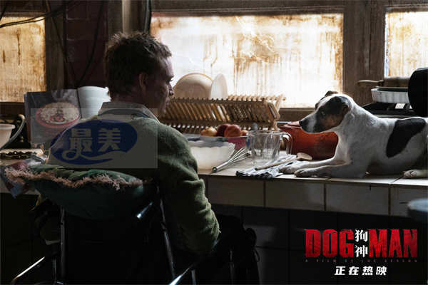 《狗神》曝“最佳拍档”电影片段 人狗配合下厨全凭眼神沟通