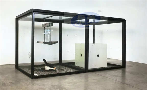 倒计时3天！这个与众不同的当代艺术大展即将与观众见面