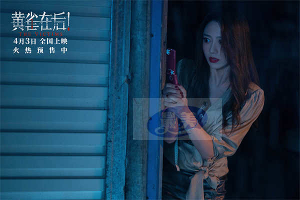 电影《黄雀在后！》今日公映 四大看点揭小镇悬案背后情法对峙