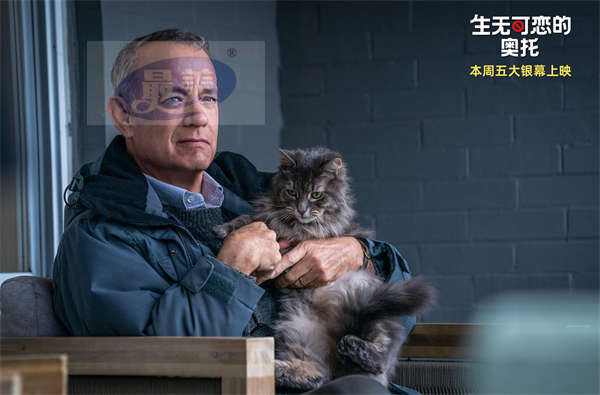《生无可恋的奥托》获媒体力赞 汤姆·汉克斯颠覆演绎传递治愈能量