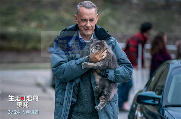 汤姆·汉克斯《生无可恋的奥托》曝求婚名场面 毒舌老头也曾被深爱