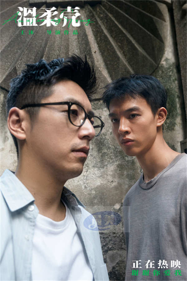 电影《温柔壳》今日上映 王子文尹昉宿命相依为爱抉择
