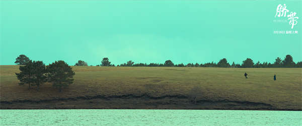 曹郁姚晨监制电影《脐带》上映 沉浸式漫游草原的疗愈之旅