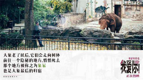 热映中！端午必看《我爱你！》释台词剧照 深刻有力展爱与生命动人力量