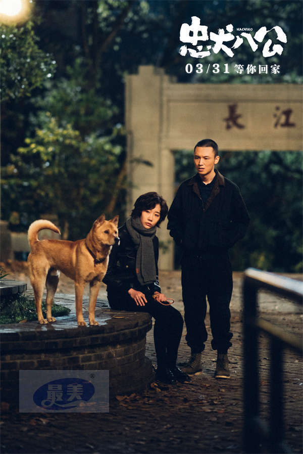 电影《忠犬八公》全新预告开启预售 “不舍离别”直指国人陪伴痛点