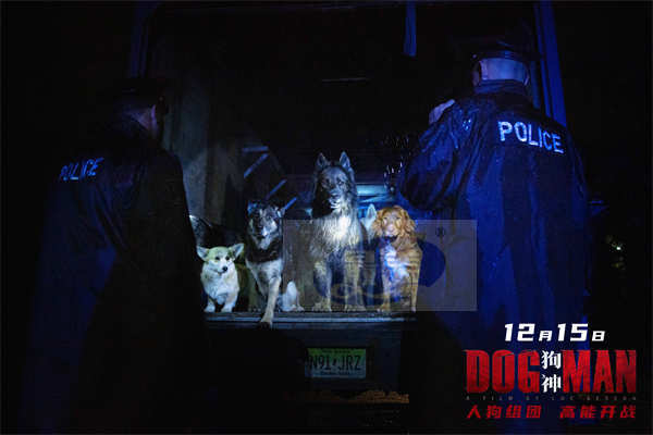 豆瓣8.1吕克·贝松犯罪新作重返巅峰 《狗神》定档12月15日