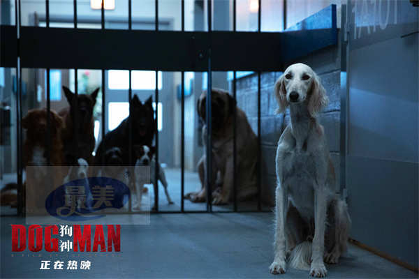 电影《狗神》发布“狗·神”特辑 可爱“神演技”