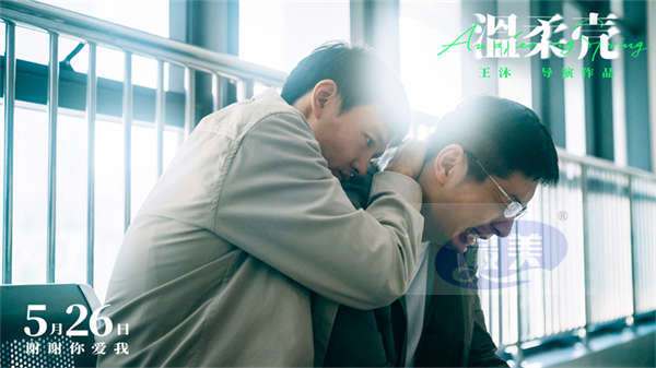 电影《温柔壳》预售开启 王子文尹昉冲破现实为爱坚守