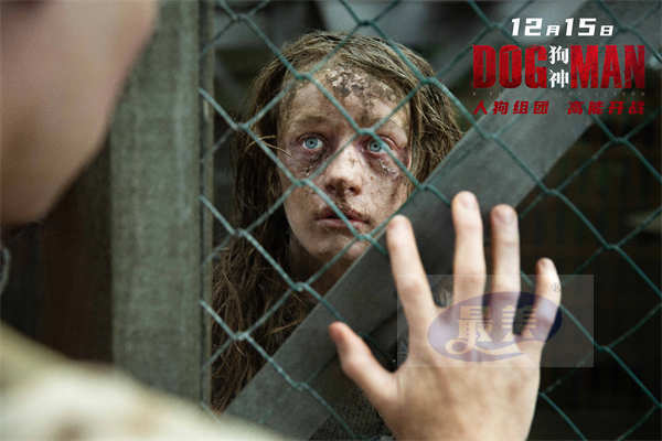 《狗神》发布“破笼反杀”版预告 男孩被囚禁狗笼多年极致反杀