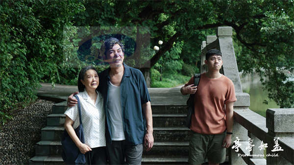 《亭亭如盖》定档4月15日 稀缺故事题材展现女性多重困境