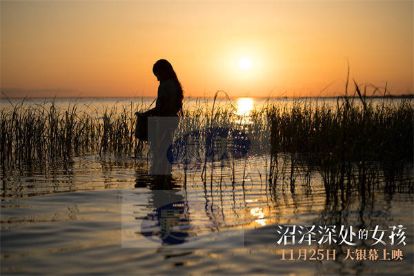 鲁豫力荐《沼泽深处的女孩》 女性力量引爆情绪共鸣预售全面开启