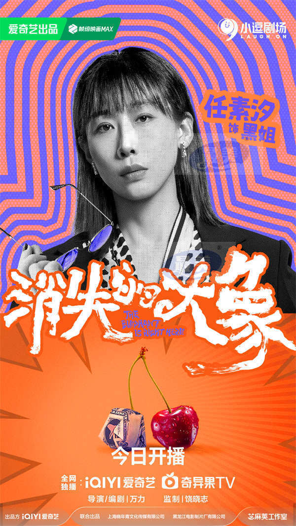 《消失的大象》今日开播,任素汐王志文演绎小人物故事