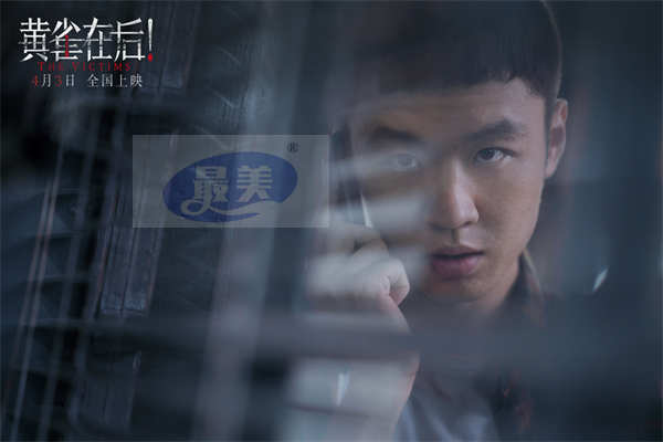 冯绍峰陶虹新片定档0403 《黄雀在后！》揭小镇大众情人死亡迷局