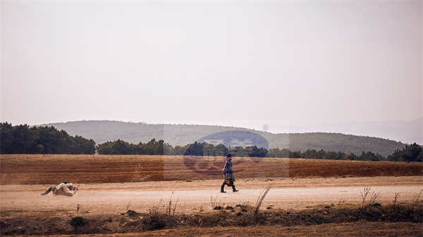 国庆档犯罪爽片《浴火之路》曝新预告 肖央赵丽颖刘烨狠人打拐荒诞上路
