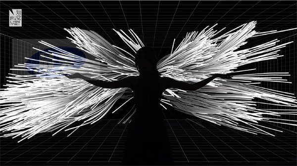 化身时空旅人 进入《知觉的世界》