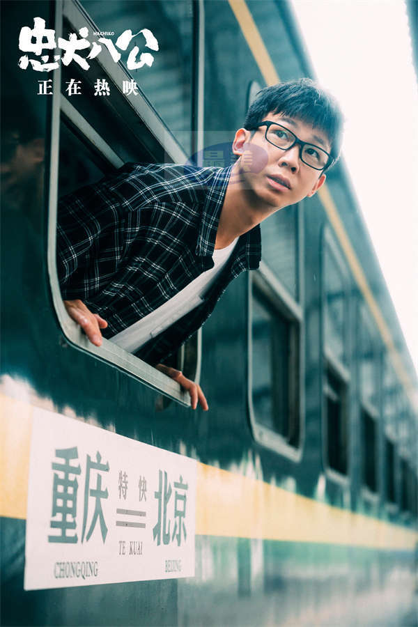 电影《忠犬八公》今日感动献映 五大看点揭秘“重磅情感炸弹”